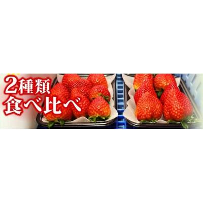 ふるさと納税 前橋市 厳選2品種食べ比べ150g×計2パック 違った香り、甘さ味を味わってください