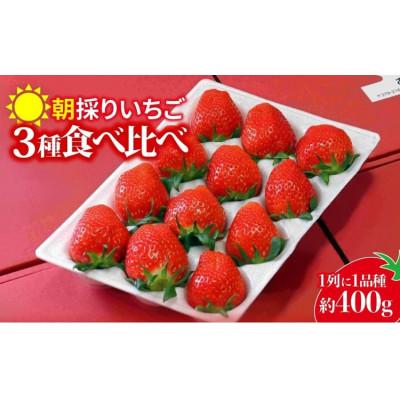 ふるさと納税 前橋市 厳選3種類食べ比べ400g×1パック 違った香り、甘さ、味を味わってください