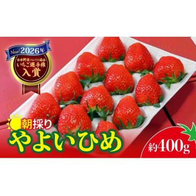 ふるさと納税 前橋市 2026年群馬県いちご品評会金賞やよいひめ400g×1パック こだわりのコク、甘さ、香りが強いいちご