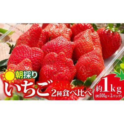 ふるさと納税 前橋市 厳選2種類食べ比べ500g×2パック 違った香り、甘さ、味を味わってください