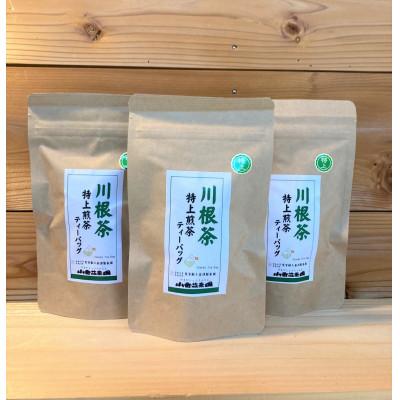 ふるさと納税 川根本町 川根本町産 お気軽マグで楽しむ 本格川根銘茶 特上川根茶ティーバッグセット 10-48