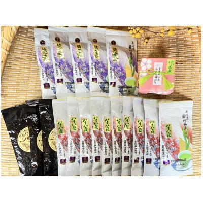 ふるさと納税 川根本町 川根本町産 川根銘茶 通もうなずくバラエティに富んだセット 99-1