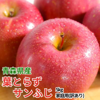 ふるさと納税 黒石市 [4月出荷予定]平均糖度13度以上! 葉とらずサンふじ 約5kg 訳あり クール便 青森県産りんご
