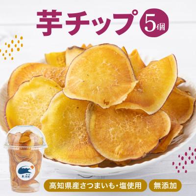 ふるさと納税 東洋町 芋チップ 225g(45g×5個)