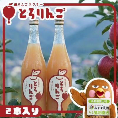 ふるさと納税 高山村 りんごジュースネクター「とろりんご」720ml×2本