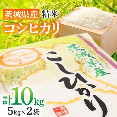 ふるさと納税 土浦市 【令和8年産】茨城県産 コシヒカリ 精米10kg ( 5kg ×2袋)  美味しい お米 | 