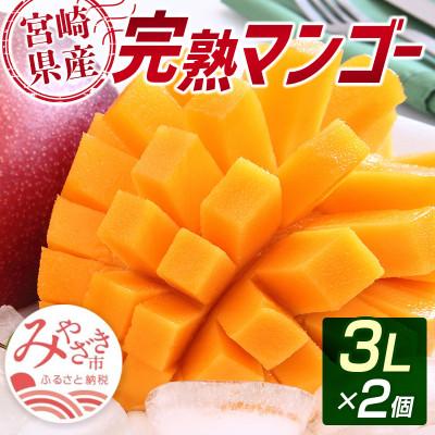 ふるさと納税 宮崎市 「宮崎自慢の特産品」宮崎県産完熟マンゴー 3L×2個(宮崎市)