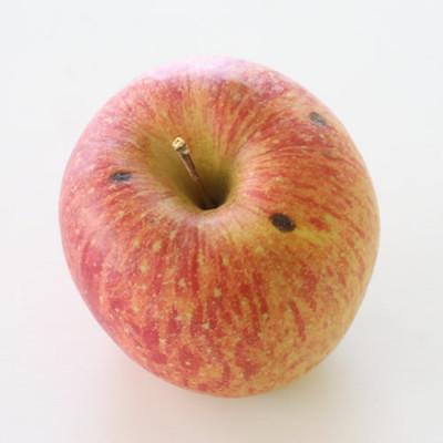 ふるさと納税 豊丘村 [訳あり品] 長野県産・サンふじ(約10kg)