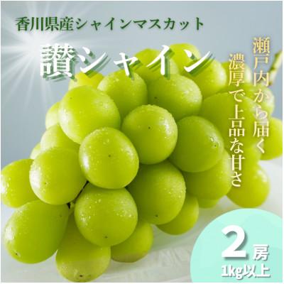 ふるさと納税 高松市 [農家直送]香川県産シャインマスカット「讃シャイン」2房(1kg以上)
