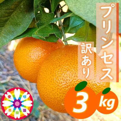 ふるさと納税 八幡浜市 愛咲果樹園「プリンセス(愛果48号)」 紅プリンセスと同品種 訳あり 約3kg[C71-35]