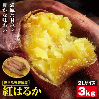 ふるさと納税 鹿屋市 鹿児島県鹿屋産 紅はるか 3kg(2Lサイズ)