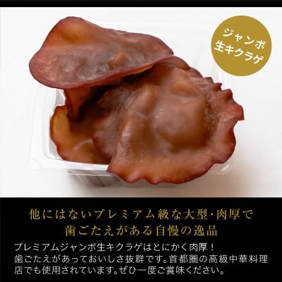 ふるさと納税 関川村 肉厚でプレミアムジャンボ!あらかわ生しいたけ&amp;生キクラゲセット