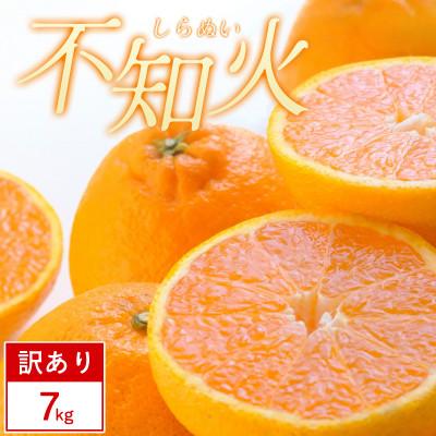 ふるさと納税 八幡浜市 [先行受付][訳あり]不知火 7kg みかん 愛媛県 八幡浜市 西宇和地区[D25-375]