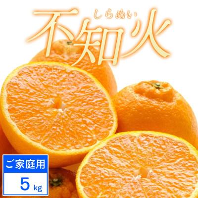 ふるさと納税 八幡浜市 [先行受付][ご家庭用]不知火 5kg みかん 愛媛県 八幡浜市 西宇和地区[C25-388]