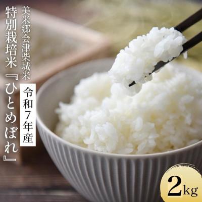 ふるさと納税 喜多方市 令和7年産 特別栽培米 ひとめぼれ 精米 2kg
