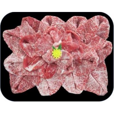 ふるさと納税 吉野ヶ里町 佐賀産和牛花盛り(黒毛)計500g(吉野ヶ里町)