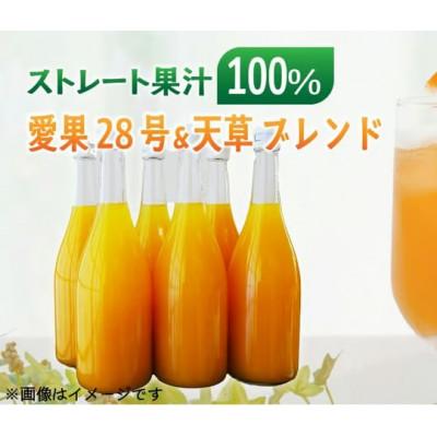 ふるさと納税 松山市 あいか &amp; 天草 ブレンド ストレート果汁100% ジュース 720ml×6本