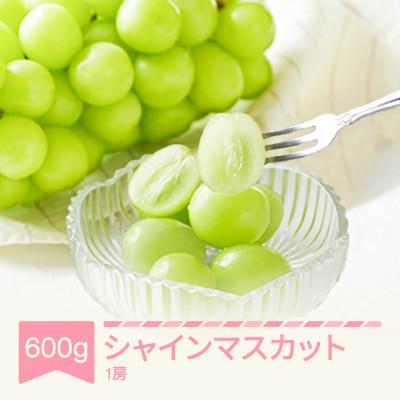 ふるさと納税 村山市 [先行予約]ぶどう シャインマスカット 2026年産 1房(約600g) 秀品
