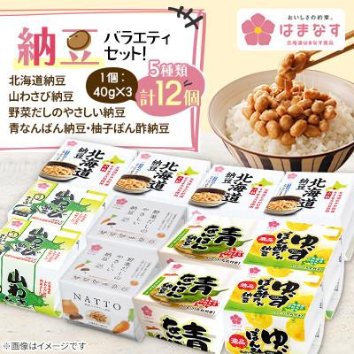 ふるさと納税 江別市 [北海道納豆]北海道はまなす食品納豆バラエティセット 計12個(5種類)