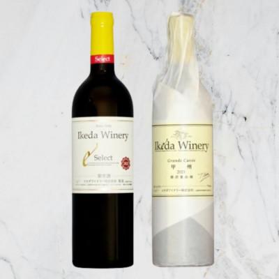 ふるさと納税 甲州市 イケダワイナリー[グラン・キュヴェ 甲州/セレクト赤]2本セット