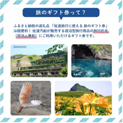 ふるさと納税 佐渡市 佐渡旅行に使える 旅のギフト券 3,000円分 |  | 01