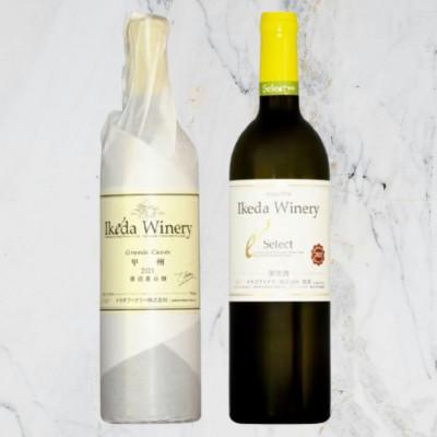 ふるさと納税 甲州市 イケダワイナリー[グラン・キュヴェ 甲州/セレクト白]2本セット