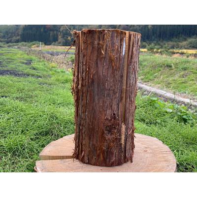 ふるさと納税 小坂町 スウェーデントーチ[杉]高さ30cm×1個