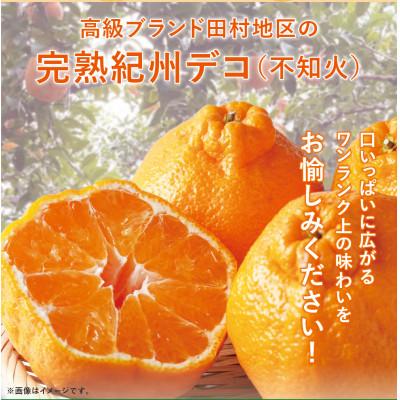 ふるさと納税 広川町 高級ブランド田村の完熟紀州デコ(不知火)約8kg