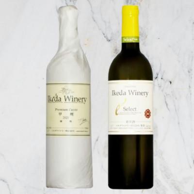 ふるさと納税 甲州市 イケダワイナリー[プレミアム・キュヴェ 甲州/セレクト白]2本セット