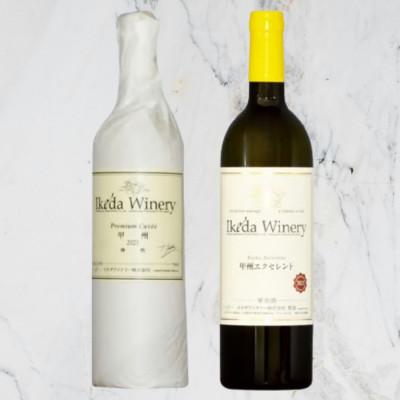 ふるさと納税 甲州市 イケダワイナリー[プレミアム・キュヴェ 甲州/甲州エクセレント]2本セット