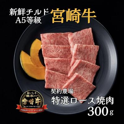 ふるさと納税 小林市 [新鮮チルド発送!!]A5等級宮崎牛特選ロース焼肉 300g(E292)