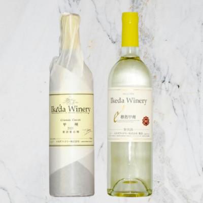 ふるさと納税 甲州市 イケダワイナリー[グラン・キュヴェ 甲州/樽熟甲州]2本セット