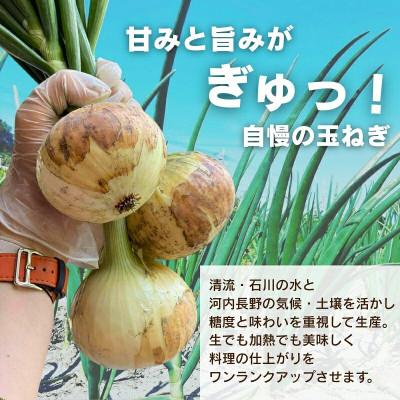 ふるさと納税 河内長野市 【令和8年度産新玉ねぎ先行予約】新玉ねぎ 10kg×1箱 混サイズ ※4-5月順次発送予定の画像