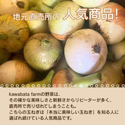 ふるさと納税 河内長野市 【令和8年度産新玉ねぎ先行予約】新玉ねぎ 10kg×1箱 混サイズ ※4-5月順次発送予定の画像