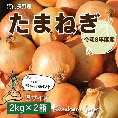 ふるさと納税 河内長野市 [令和8年度産玉ねぎ先行予約]玉ねぎ 2kg×2箱 混サイズ ※6月より順次発送予定