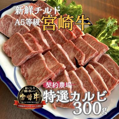 ふるさと納税 小林市 [新鮮チルド発送!!]A5等級宮崎牛特選カルビ焼肉 300g(E284)