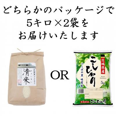 ふるさと納税 つくばみらい市 新米令和8年産 茨城県産 お米 こしひかり 10kg(5kg×2袋) 精米 |  | 01
