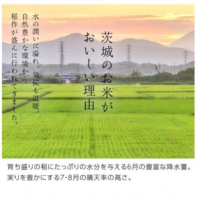 ふるさと納税 つくばみらい市 新米令和8年産 茨城県産 お米 こしひかり 10kg(5kg×2袋) 精米 |  | 02