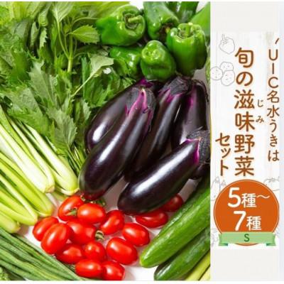 ふるさと納税 うきは市 名水うきは 旬の滋味(じみ)野菜セットS U011