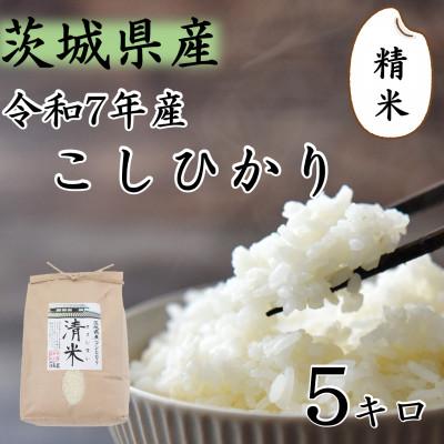 ふるさと納税 つくばみらい市 令和7年産 茨城県産 お米 こしひかり 5kg 精米