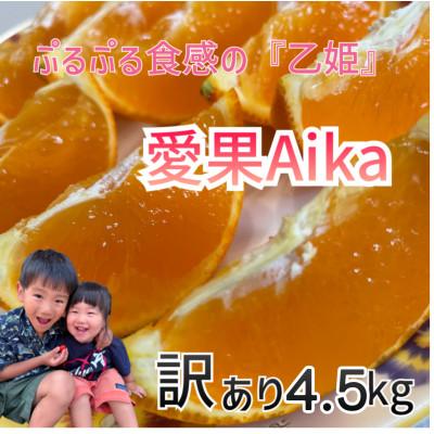 ふるさと納税 伊予市 『愛媛の乙姫』 愛媛果試28号(みかん) 訳あり品 4.5kg