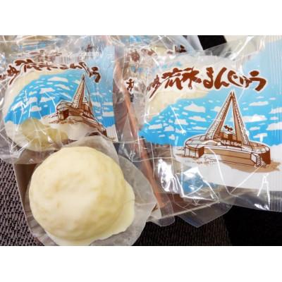 ふるさと納税 稚内市 日本最北の銘菓[流氷まんじゅう]10個入