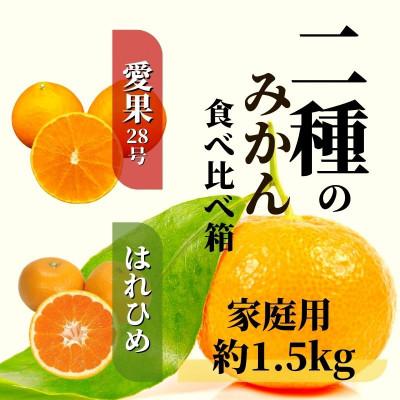 ふるさと納税 松山市 2種のみかん食べ比べ箱 愛果28号・はれひめ(家庭用) 約1.5kg [12月〜順次発送]