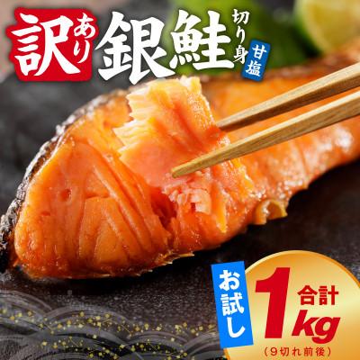 ふるさと納税 泉佐野市 銀鮭 切り身 1kg 9切れ前後 お試し TVで紹介 訳あり サイズ不揃い