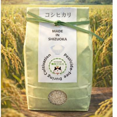 ふるさと納税 静岡市 [令和7年産・精米]静岡県産こしひかり2kg/栽培期間中農薬不使用