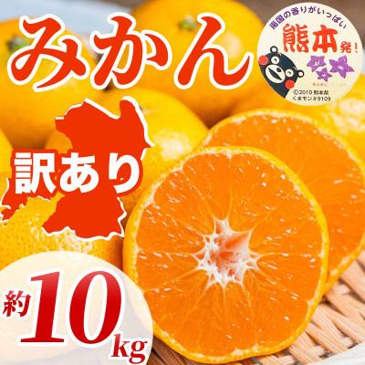 ふるさと納税 山鹿市 みかん 訳あり サイズミックス 3S〜3L 約10kg