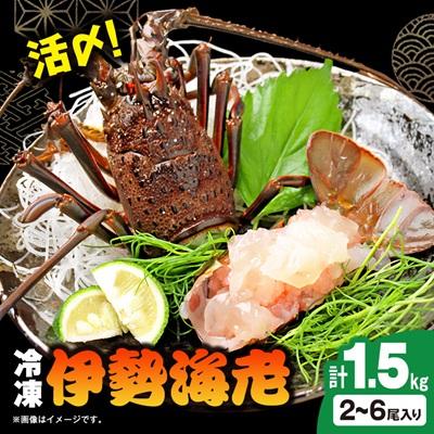 ふるさと納税 いすみ市 活〆冷凍伊勢海老 1.5kg | 