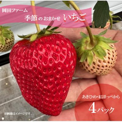 ふるさと納税 播磨町 [先行受付]令和9年1月下旬以降順次発送!おまかせ!季節のイチゴ(約260g)×4パック