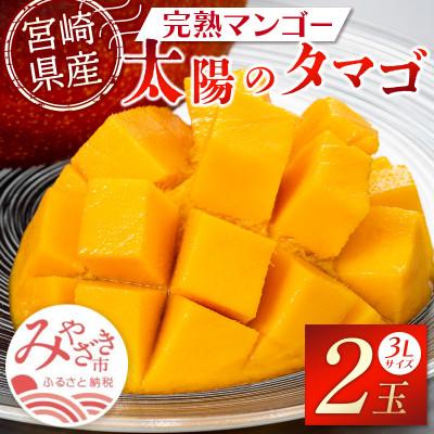 ふるさと納税 宮崎市 「宮崎自慢の特産品」宮崎県産完熟マンゴー 太陽のタマゴ 3L×2玉(宮崎市)