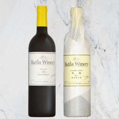 ふるさと納税 甲州市 イケダワイナリー[グラン・キュヴェ 甲州/マスカットベリーA]2本セット